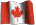 French canadian